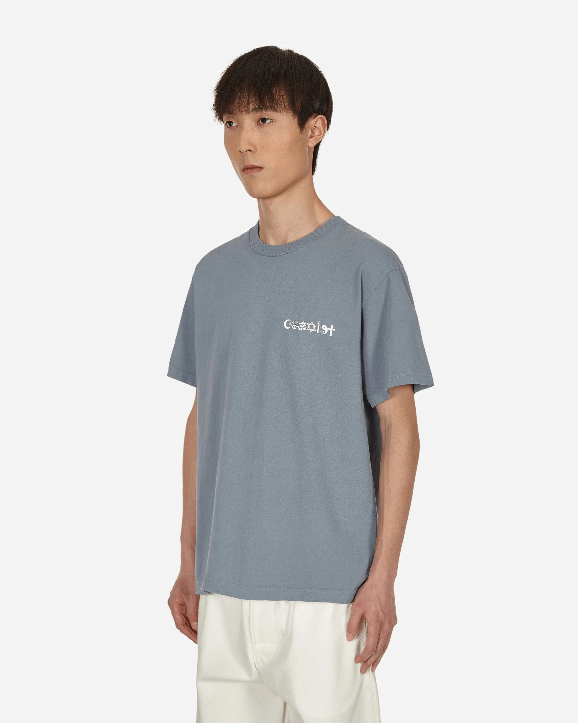 Coexist V2 T-Shirt Purple