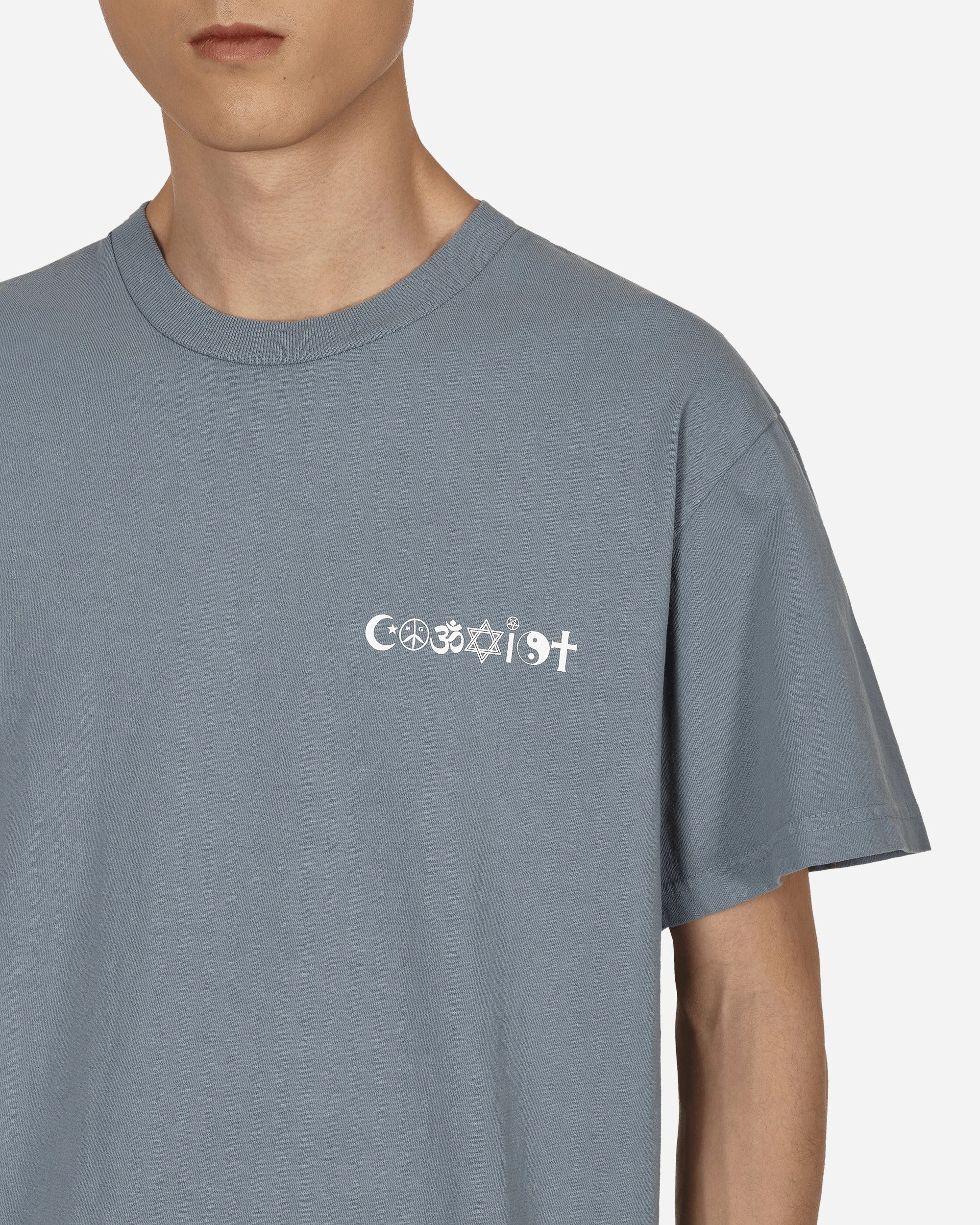 Coexist V2 T-Shirt Purple
