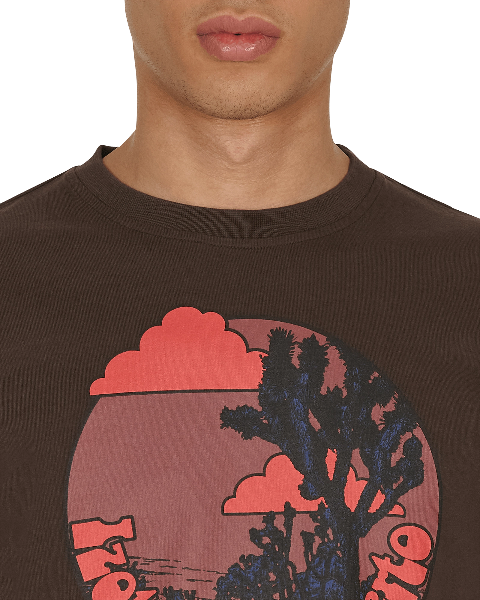 Desert Daggar T-Shirt Brown