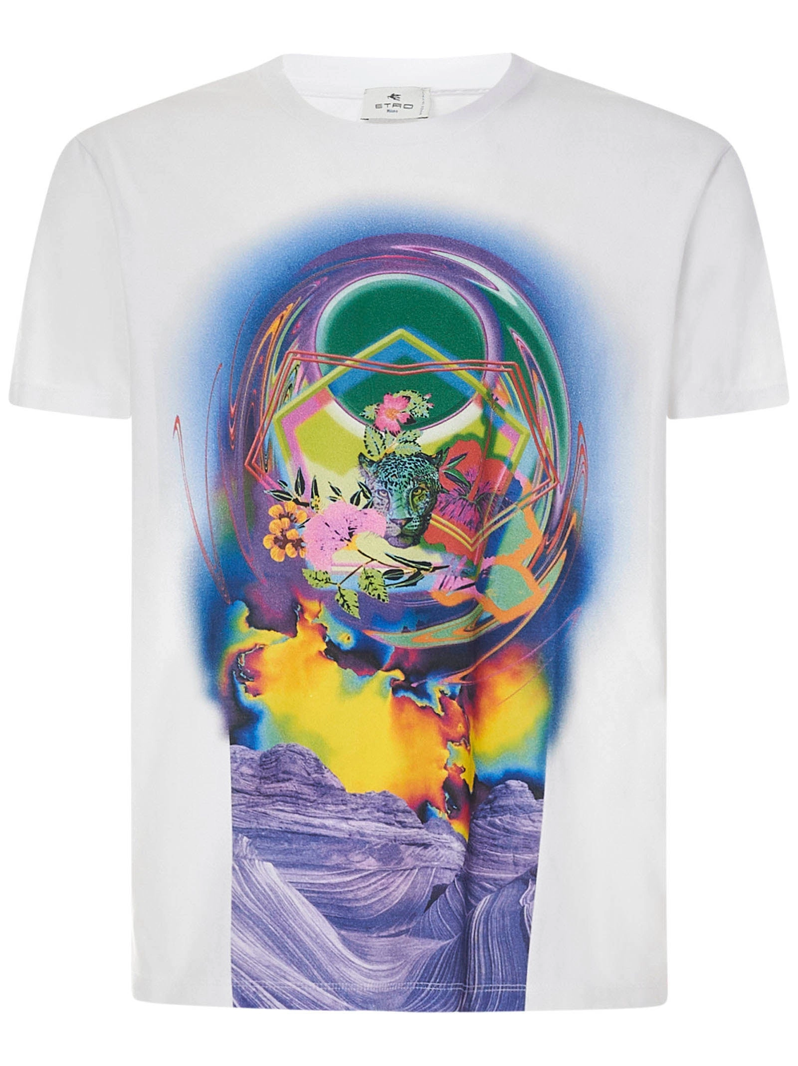 Etro Graphic Print Crewneck T-Shirt