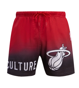 Pro Standard HEAT Culture Gradient Shorts